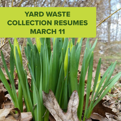 Seasonal Yard Waste